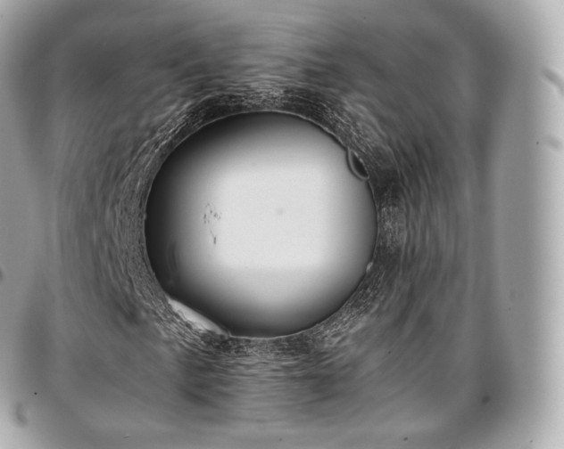 X0000097301057200802221330