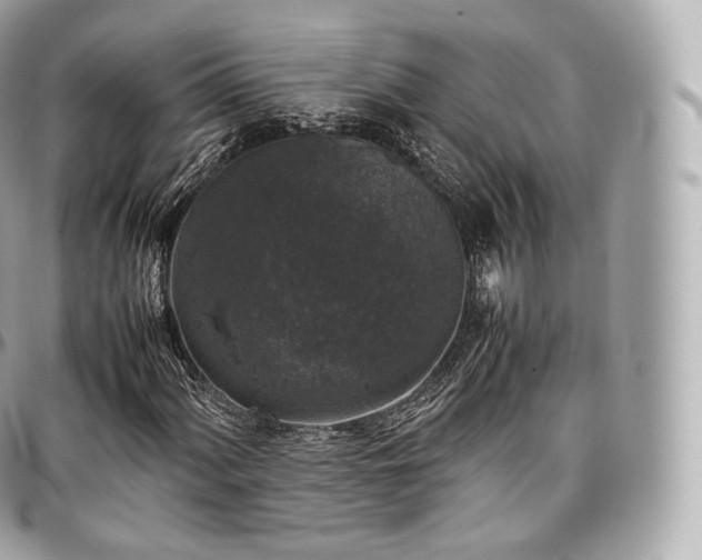 X0000097301060200802221330