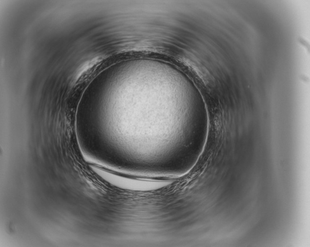 X0000097301064200802221330