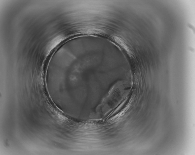 X0000097301071200802221330