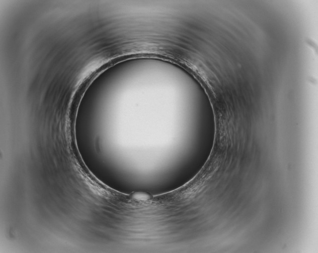 X0000097301072200802221330