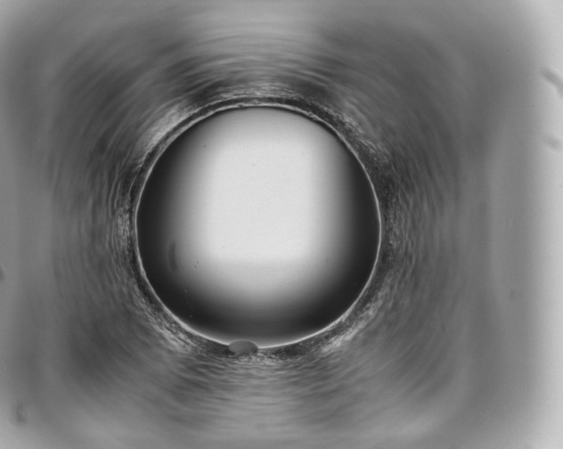X0000097301073200802221330