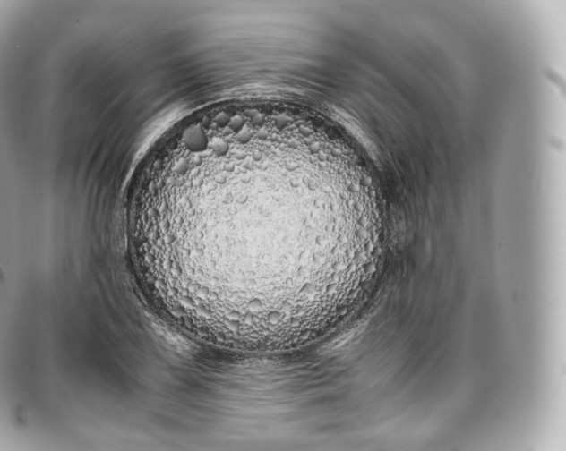 X0000097301075200802221330