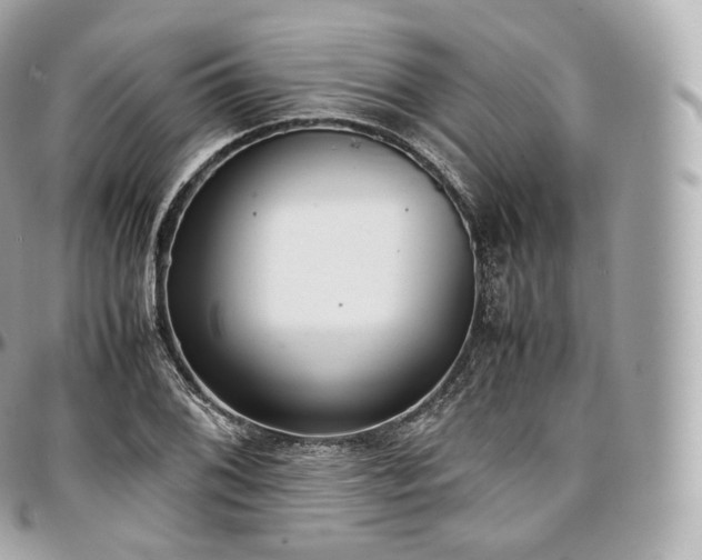 X0000097301076200802221330