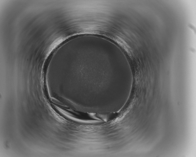 X0000097301077200802221330