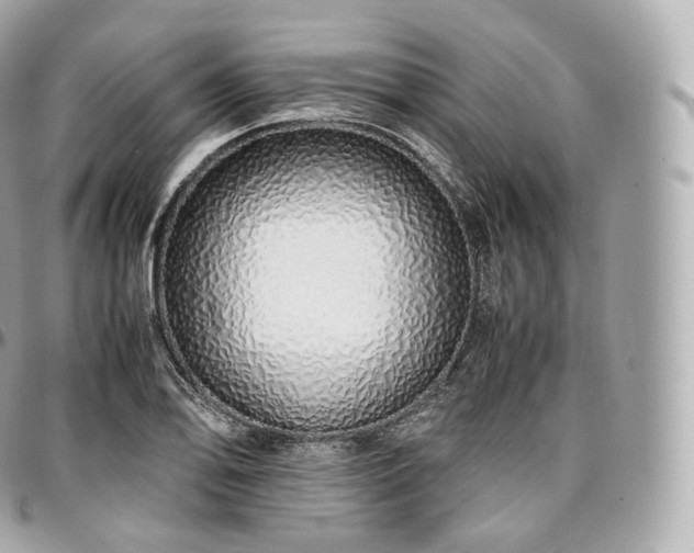 X0000097301078200802221330