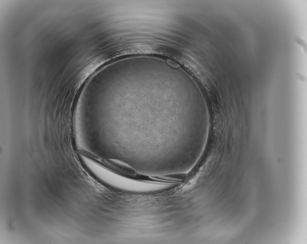 X0000097301081200802221330