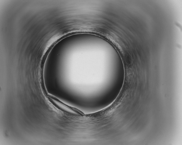 X0000097301085200802221330