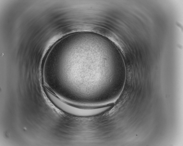 X0000097301088200802221330