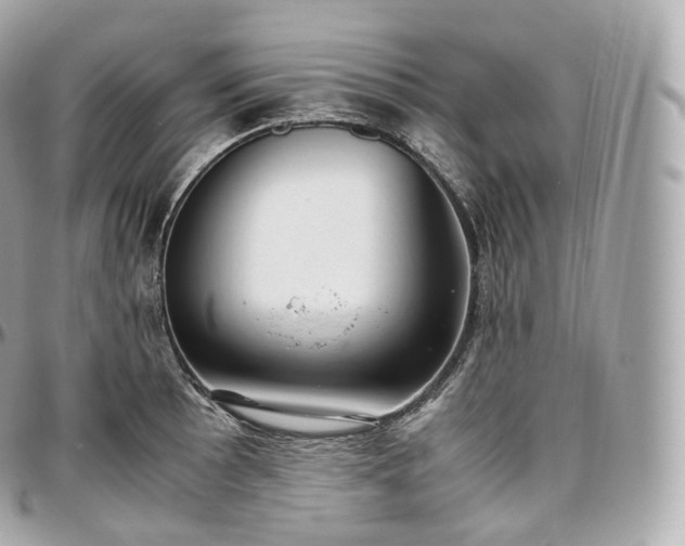 X0000097301089200802221330