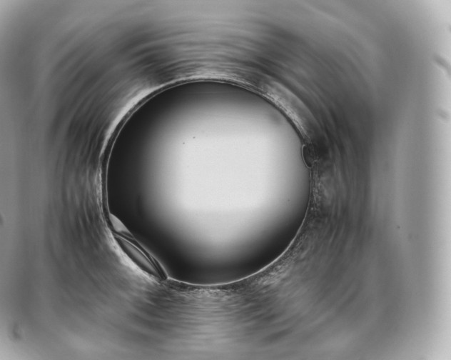 X0000097301092200802221330