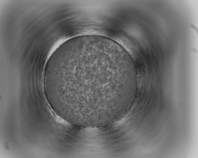X0000097301094200802221329