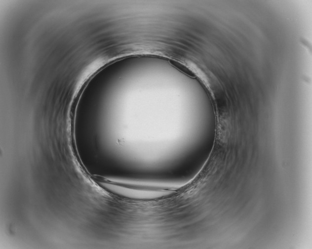 X0000097301096200802221329