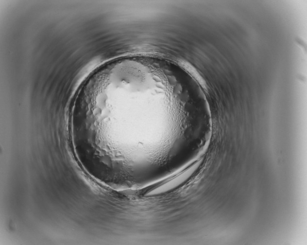 X0000097301099200802221329
