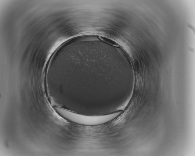 X0000097301102200802221329