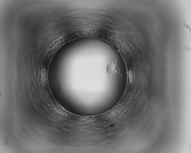X0000097301107200802221328