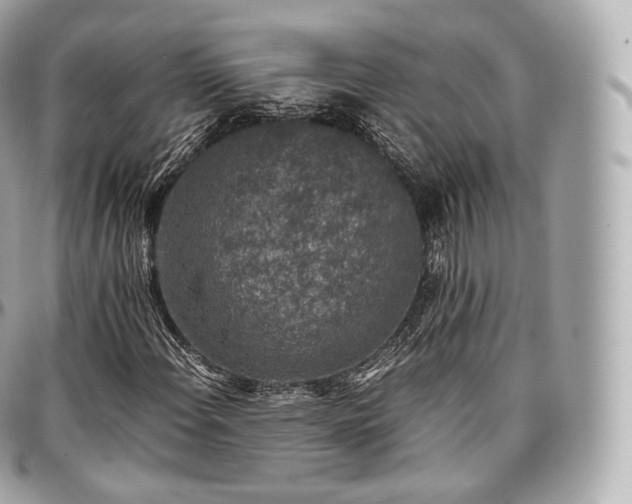 X0000097301108200802221328