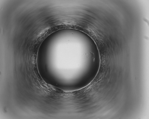 X0000097301110200802221328
