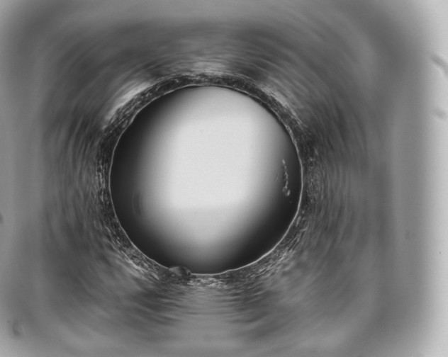 X0000097301112200802221328