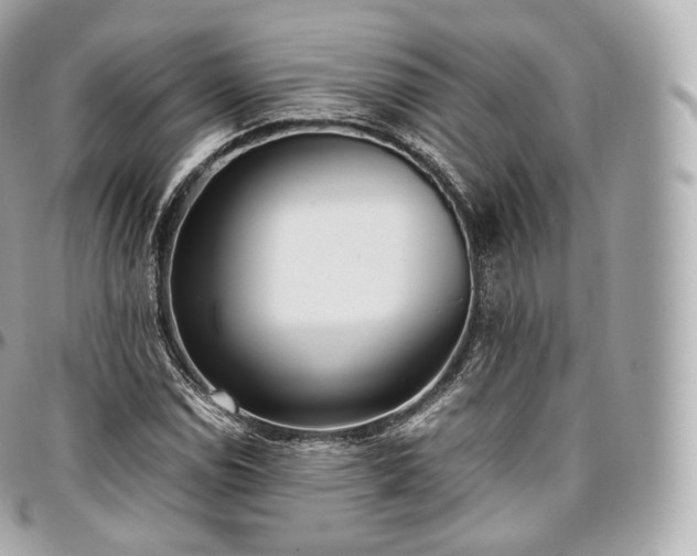 X0000097301114200802221328