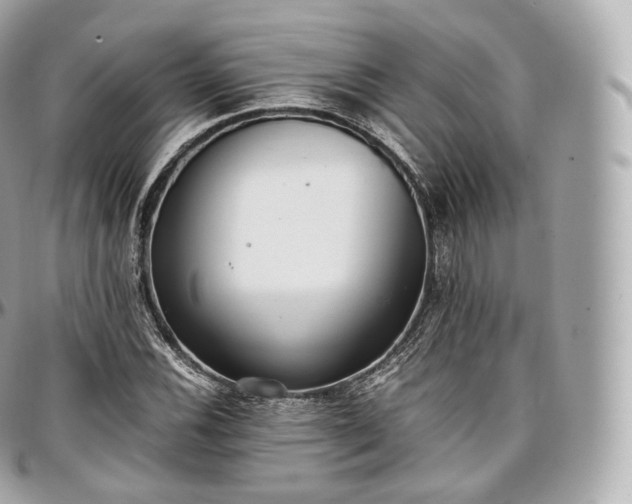 X0000097301116200802221329