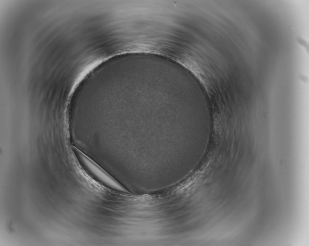 X0000097301120200802221329