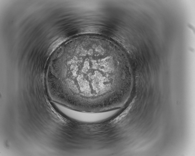 X0000097301121200802221329