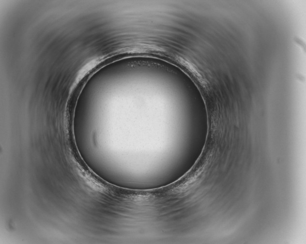 X0000097301122200802221329
