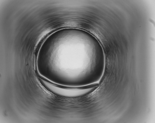 X0000097301123200802221329