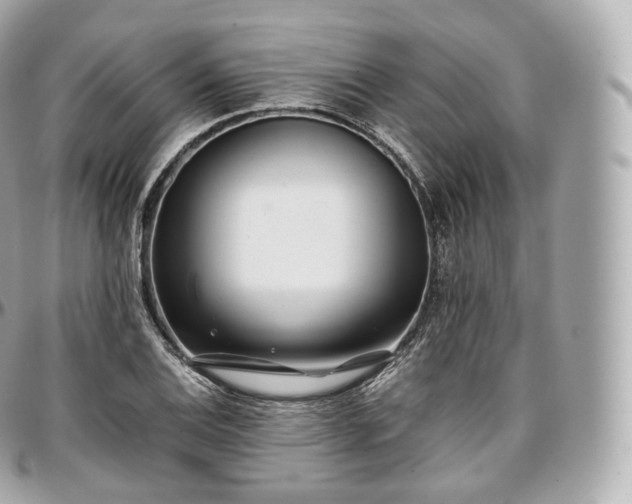 X0000097301124200802221329