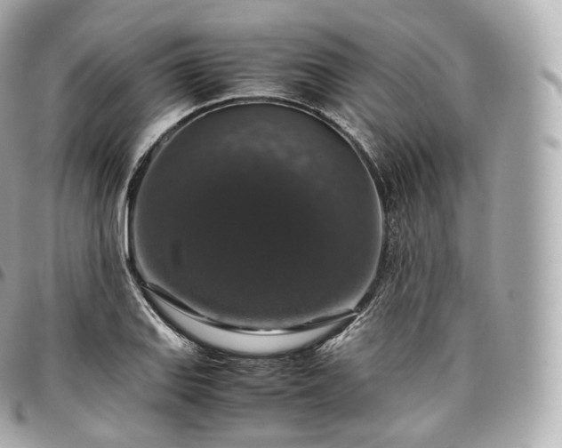 X0000097301127200802221329