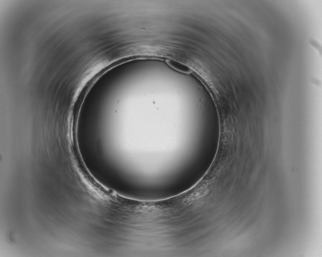 X0000097301128200802221329