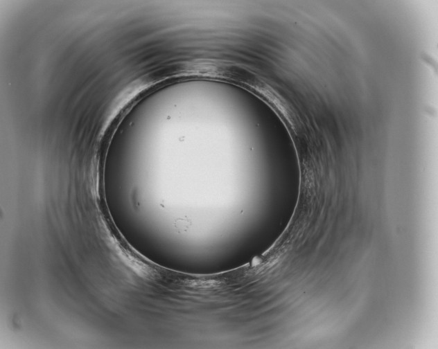 X0000097301131200802221329