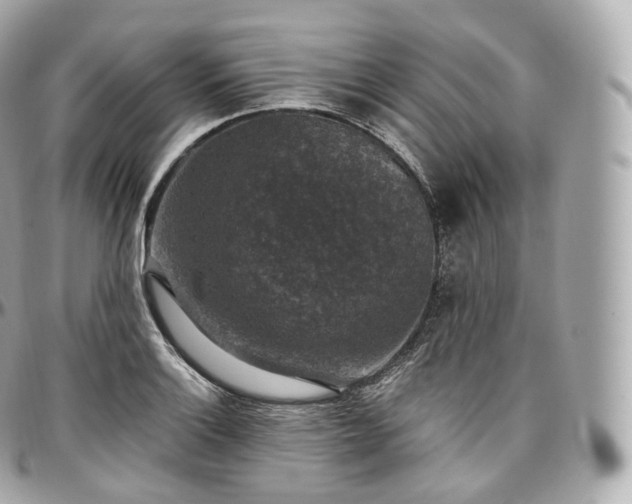 X0000097301132200802221329