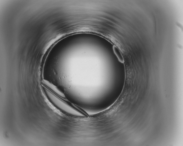 X0000097301134200802221329