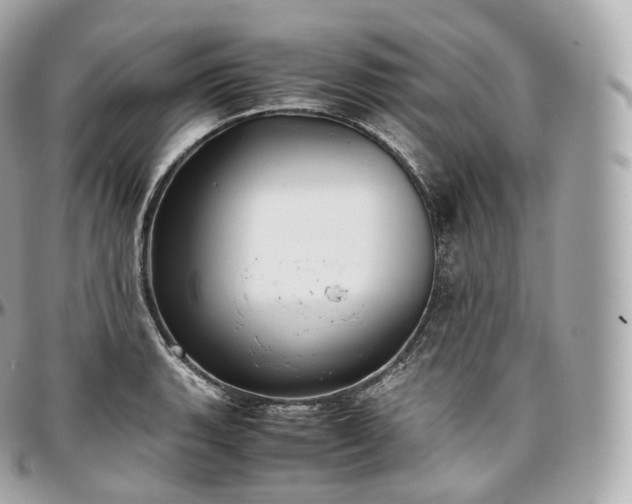 X0000097301135200802221329
