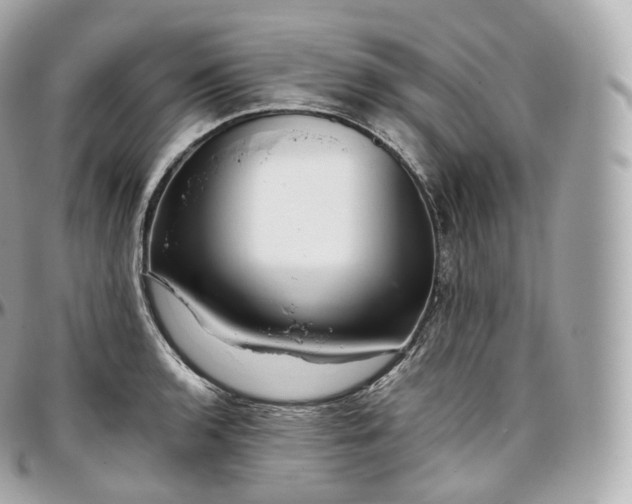 X0000097301136200802221329
