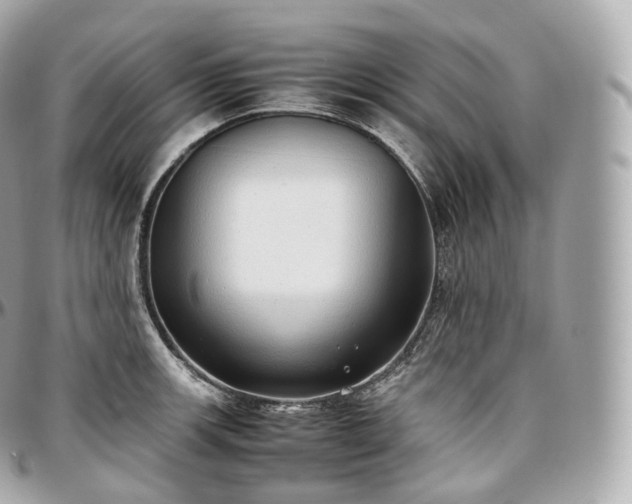 X0000097301139200802221329