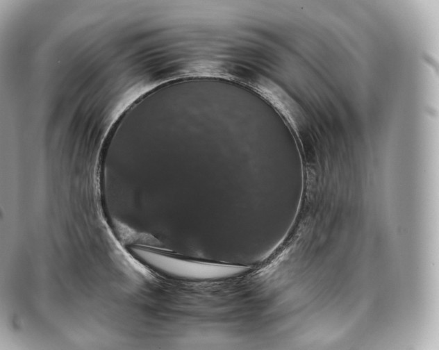 X0000097301141200802221329