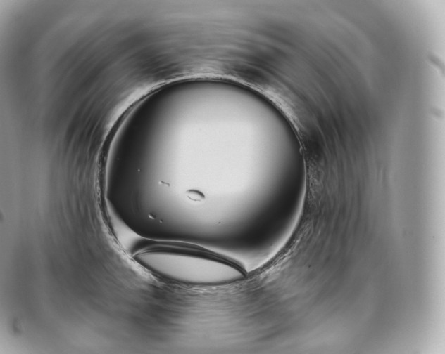 X0000097301142200802221329
