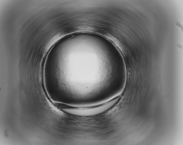 X0000097301143200802221329
