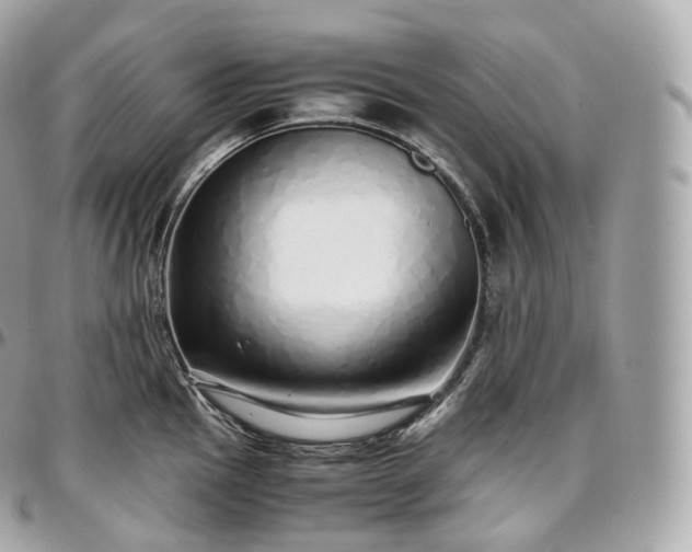 X0000097301145200802221329