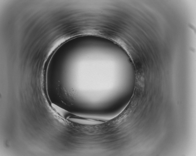 X0000097301147200802221329