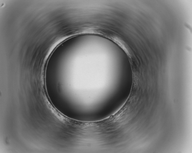 X0000097301148200802221329