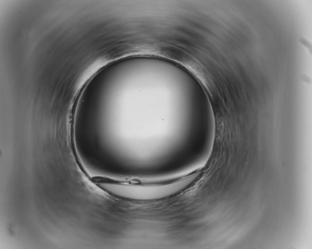 X0000097301151200802221329