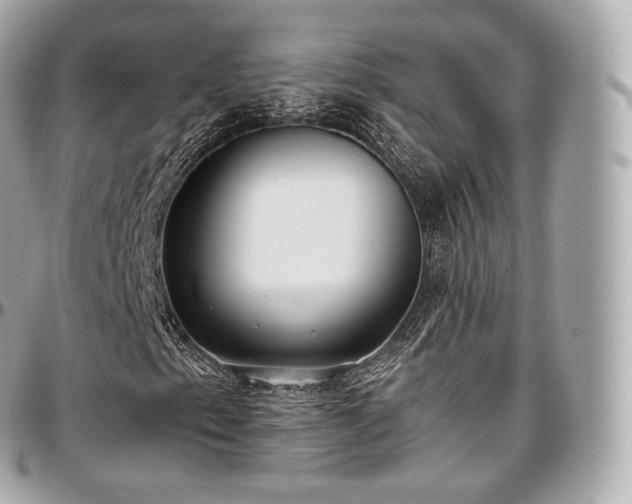 X0000097301153200802221328