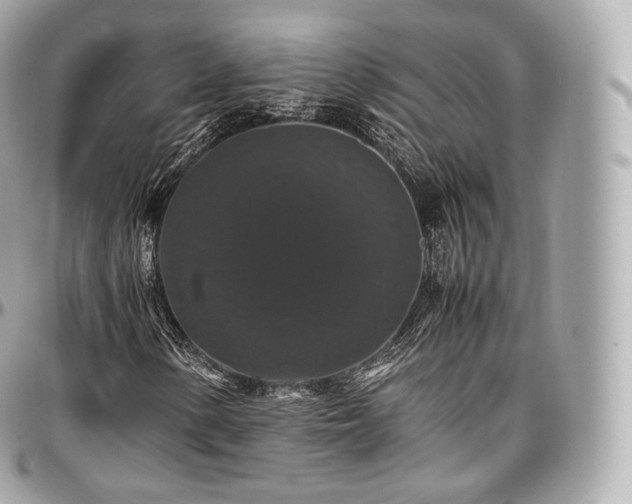 X0000097301154200802221328