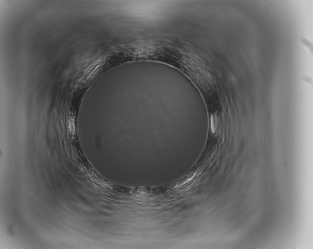 X0000097301155200802221328
