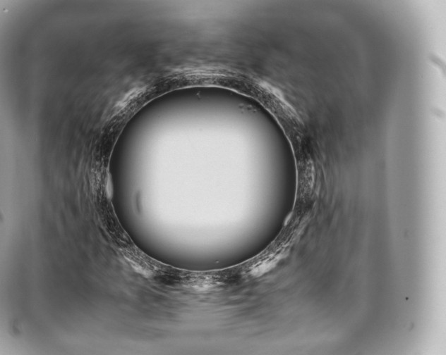 X0000097301157200802221328