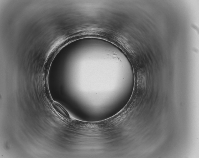 X0000097301164200802221328